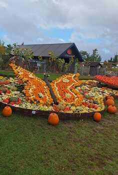 zagroda-kociewska-17