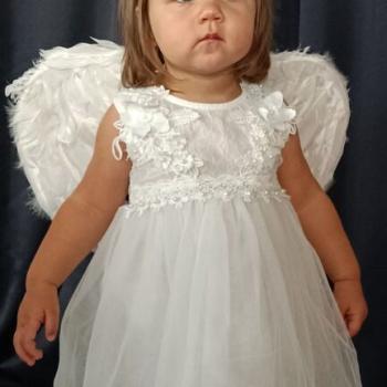 dzien-aniola-stroza-18